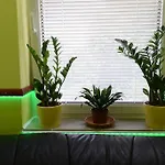 Nexus Vendeghaz Aparthotel