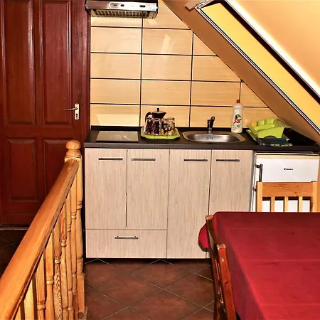 Nexus Vendeghaz Szeged