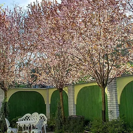 Nexus Vendeghaz Lägenhetshotell Szeged