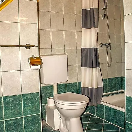 Nexus Vendeghaz Szeged